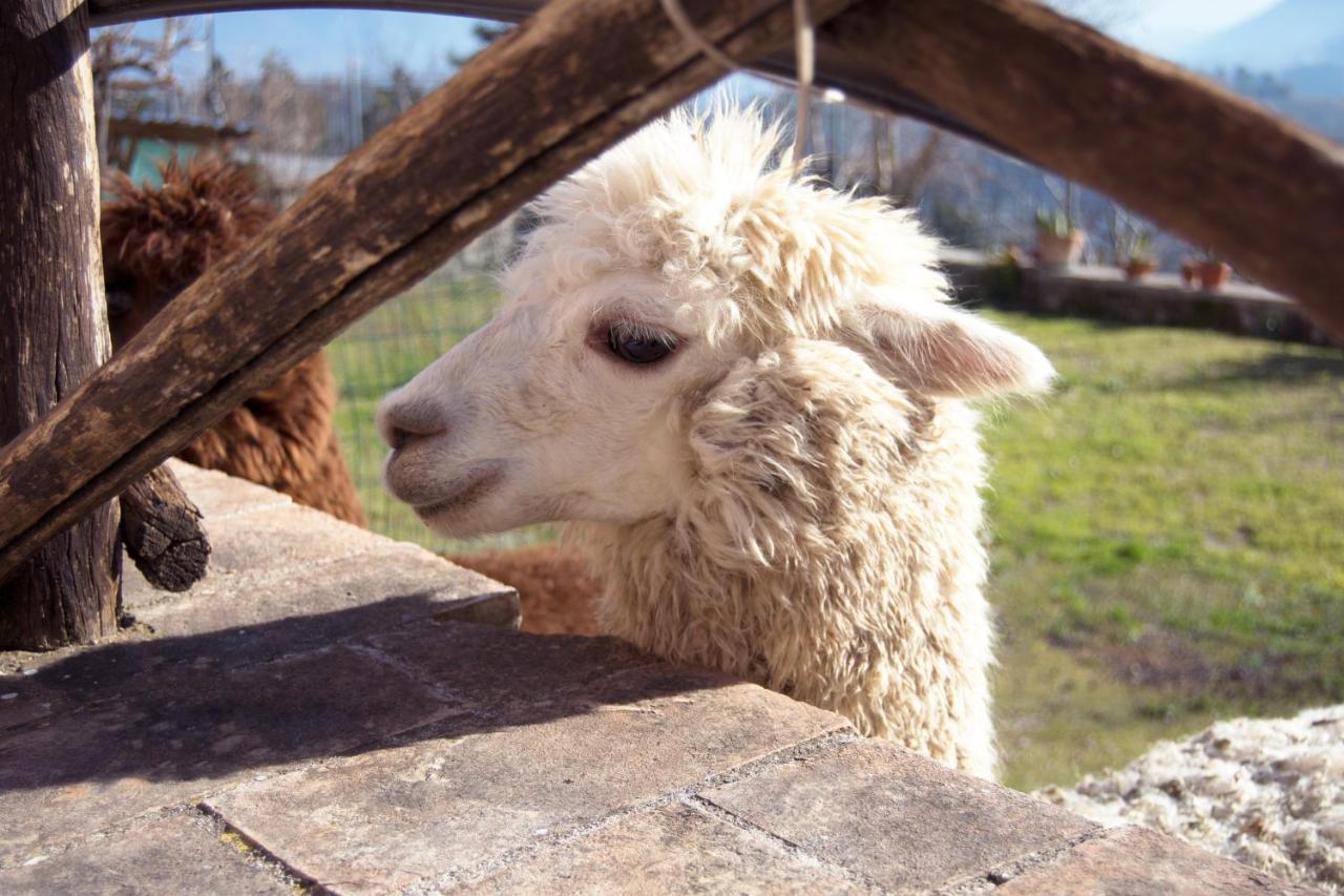 Montanari Agrivillage นาร์นี ภายนอก รูปภาพ